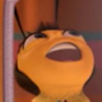 ShrimpMatserO