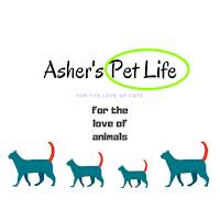 Asher's PetLife