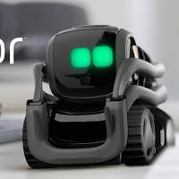 Anki Vectors Home