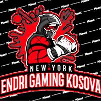 Endri Gaming Kosova