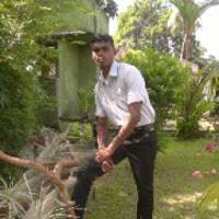 madu maduranga