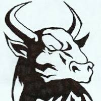 BULLS yogi Pavan