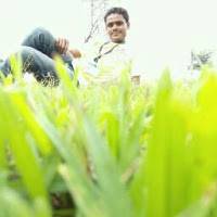 Subhash Kadam