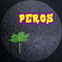 P e r o s