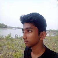 Nibir Mehedi Suvo
