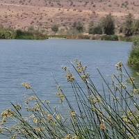 atlantic Ait ahmed