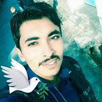 Ali Sher