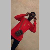 Ayam Skido