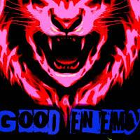 good enemy