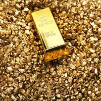 Gold Mine