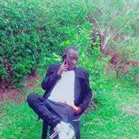 Davenport Dalno Kayotic
