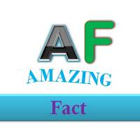 Amazing Fact