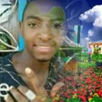 De diamonte