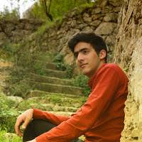 anas jabari