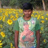 obalesh johncena