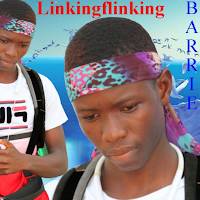 Linkingfliking Barrie