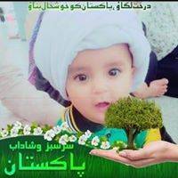 Haseeb Ali