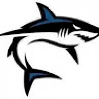 SharkShadowX