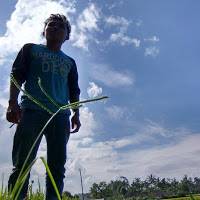 Didi Wardi