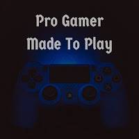 Pro Gamer 8960