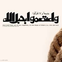hamid janan