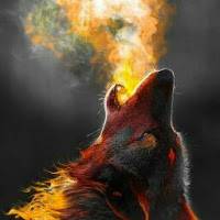 BLAZE 10k
