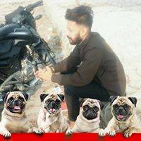 Gaurav Yadav