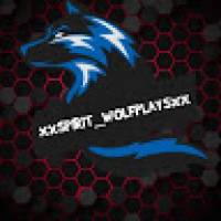 xXSPIRIT__WOLFPLAYSXx gokid275