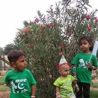 Zulfiqar Ali