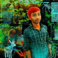 hindi to bangla version ডাইভিং master