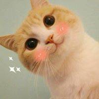 メ メ