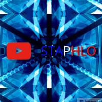Staphlo