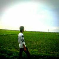 Sunny Joel