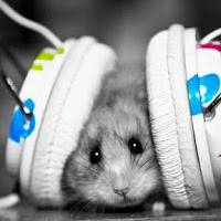 MJ ENTERTAINMENT