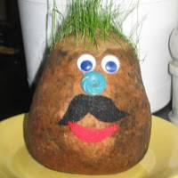 LOGAN ROOT