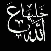 N  El Dawy
