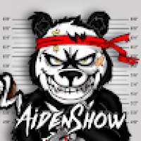 The Aiden Show