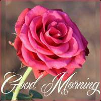 Vipin Kumar