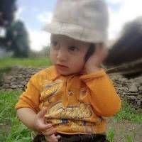 SJ DARELO