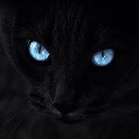 Wild Sumon