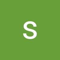 scelerat diaa