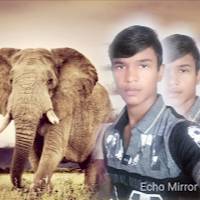 Krishna gorain