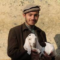 Shams Khan