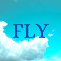 Fly