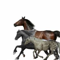 OLD TOWN ROAD (REMIX)
