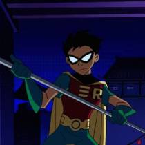 Robin the dark night 