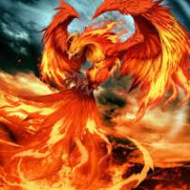 THE PHOENIX 