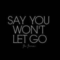 Say You Wont Let Go. 