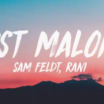  Post Malone (Lyrics) feat. RANI